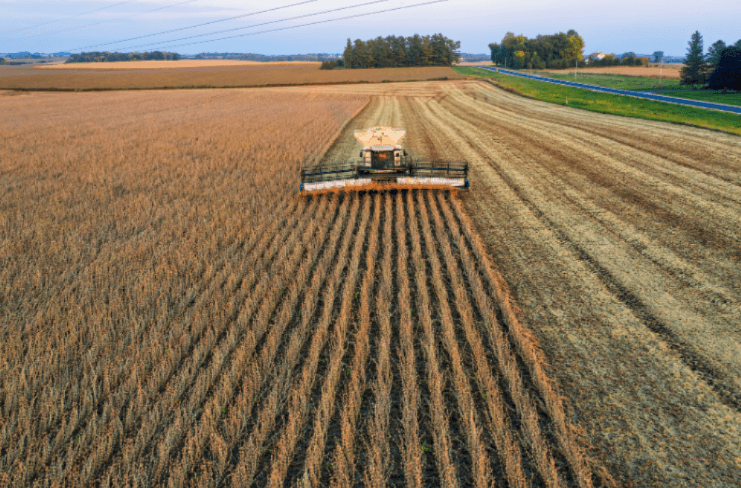 recuperações judiciais