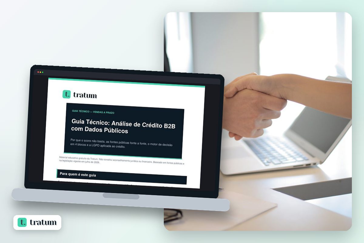 Prévia — Guia Técnico: Análise de Crédito B2B com Dados Públicos